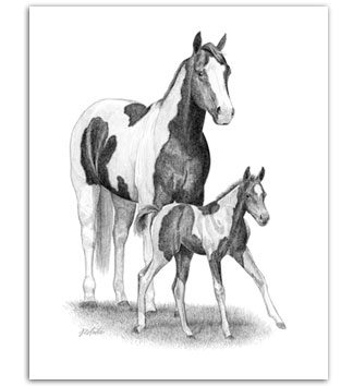 Paint Horse APHA mare foal pinto equine art