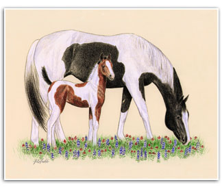 Paint Horse mare foal Texas horses wildflowers art