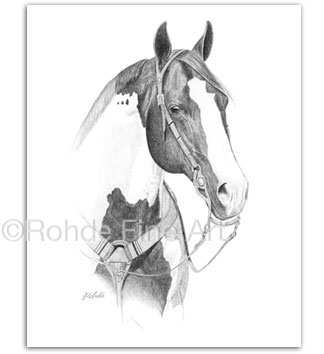 Paint Horse Portraits equine art