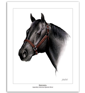 Peponita AQHA Quarter Horse art cutting horse stallion