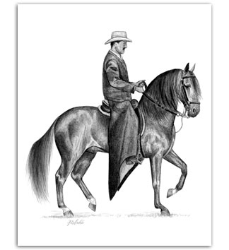 Paso Fino Horses Art Fine Steps I. portrait equine artist