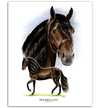 Bolero LaCE Paso Fino horse art prints paintings